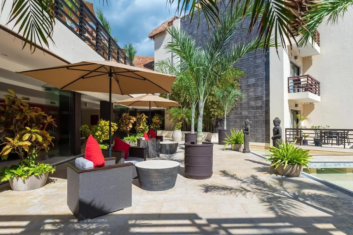 Ata35 Studio With A Terrace Perfect Getaway Wifi Gym Playa del Carmen 0*,  Mexiko